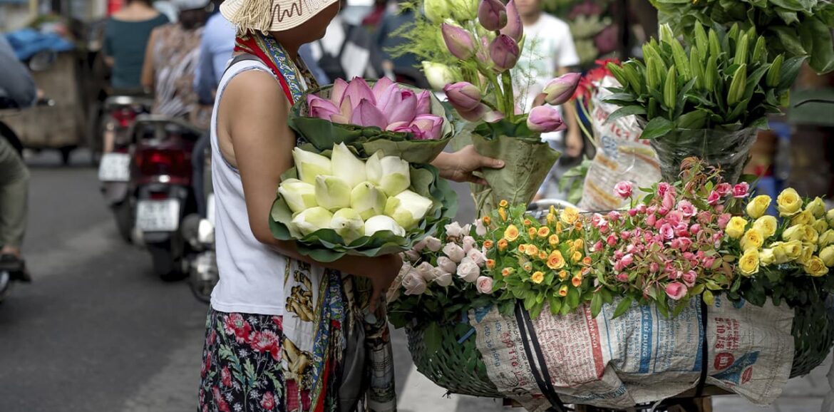 flowers